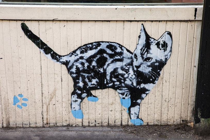 Grafiki Banksy’ego znane są na całym świecie /123RF/PICSEL