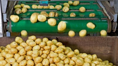 ​Granat wśród ziemniaków. Groźny incydent w Lęborku