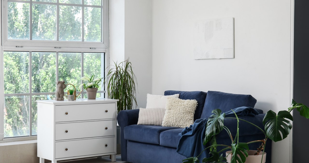 Granatowa sofa to  hit 2025 roku. /Pixel