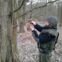 Pięć pocisków z czasów II wojny ktoś powiesił na drzewie w okolicach Słubic