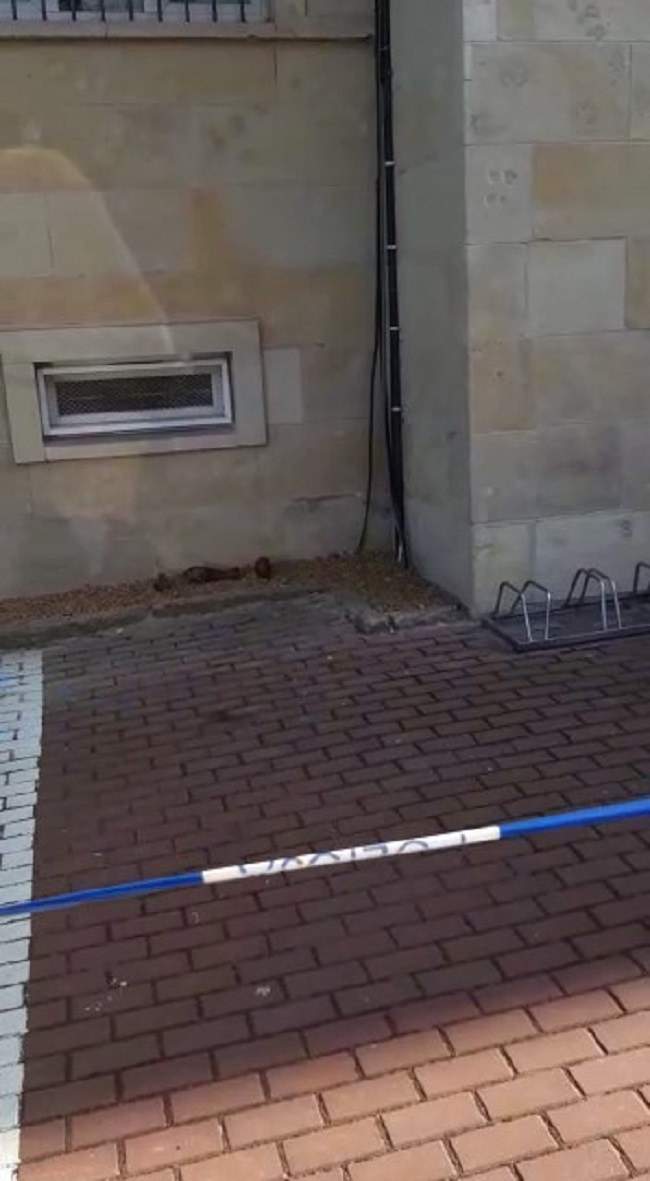 Granaty przed komendą w Lubaniu /Policja /