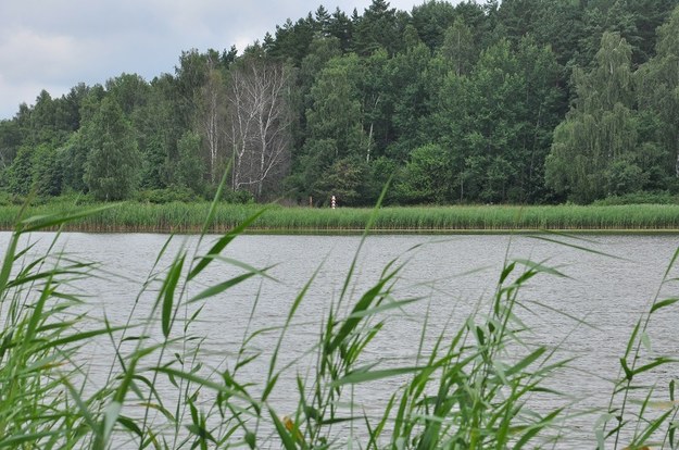 Granica polsko-rosyjska na jeziorze Gołdap /Straż Graniczna