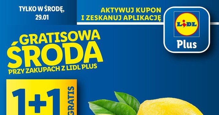 Gratisowa Środa w Lidlu /Lidl /INTERIA.PL