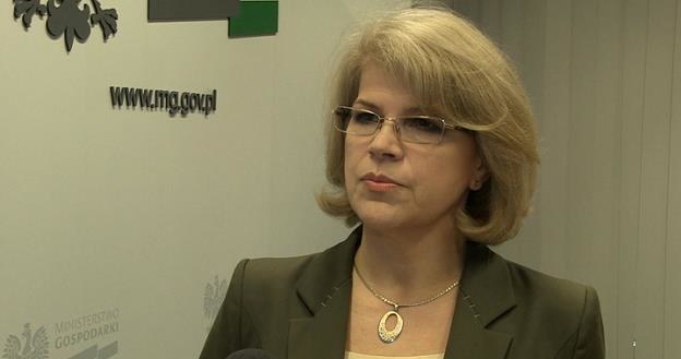 Grażyna Henclewska, wiceminister gospodarki /Newseria Biznes