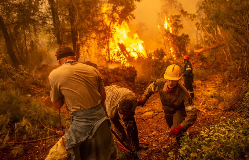 Grecja. Pożary na wyspie Eubea /AFP