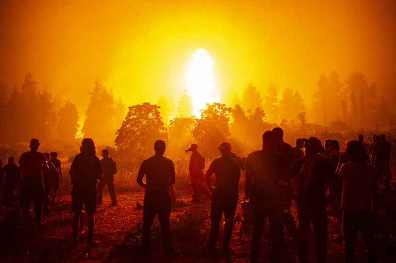 Grecja walczy z pożarami, na zdjęciu zmagania z ogniem w pobliżu wioski Kamatriades na wyspie Eubea /ANGELOS TZORTZINIS / AFP  /AFP