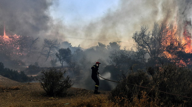 Grecki strażak walczący z pożarem w rejonie Lutraki /VASILIS PSOMAS /PAP/EPA