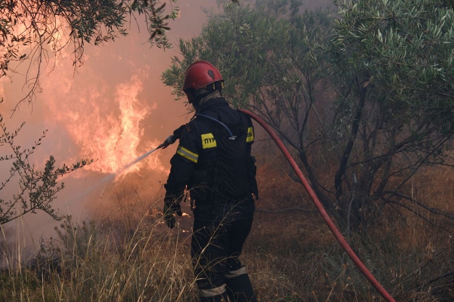 Grecki strażak walczy z żywiołem (zdjęcie poglądowe) /Shutterstock