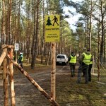 Greenpeace Polska interweniuje ws. przekopu Mierzei Wiślanej