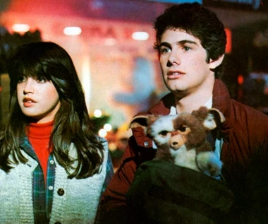 "Gremliny" powracają? Są nowe wieści o kontynuacji hitu lat 80. 