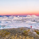 Grenlandia: Czapa lodowa topnieje przez glony