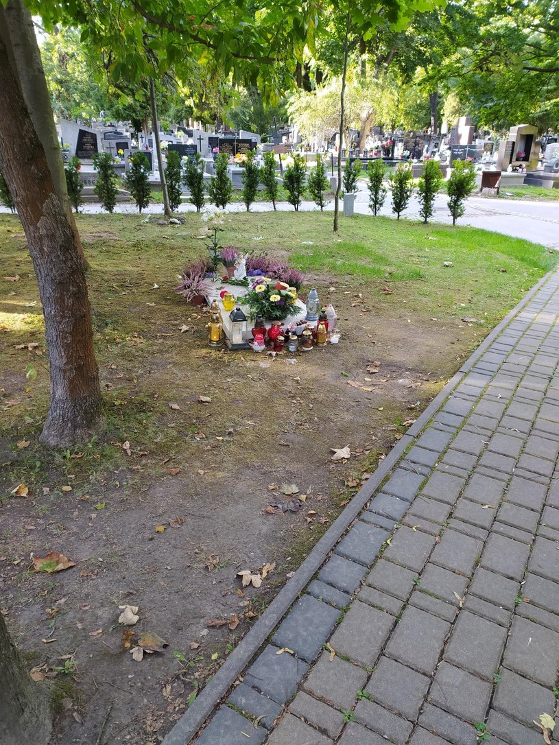 Grób Ewy Demarczyk na Cmentarzu Rakowickim w Krakowie /pomponik.pl