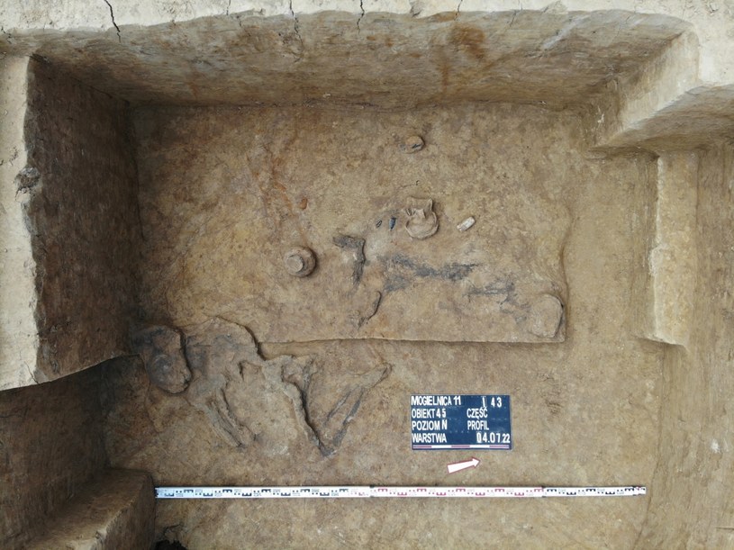 Grób odkryty w czasie badań archeologicznych na S19 w ciągu trasy Via Carpatia /GDDKiA/Interia.pl