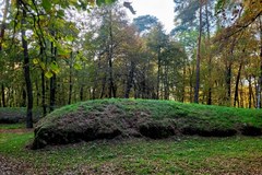 Grobowce kujawskie w Wietrzychowicach