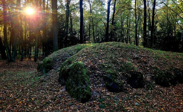 Groby olbrzymów, czyli grobowce megalityczne na Kujawach