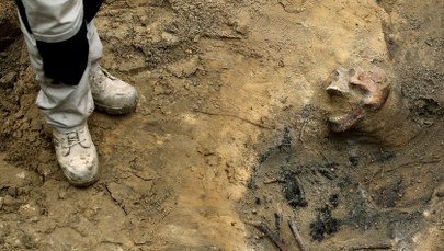 Groby z "Łączki" zostaną przeniesione. Wznowione zostaną poszukiwania ofiar stalinowskiego terroru 