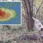 Grodzisko ukryte wśród bagien Puszczy Włodawskiej. Nowe odkrycie