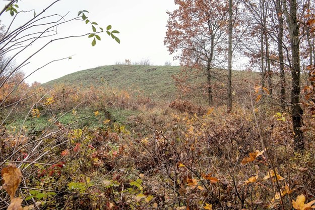 Grodzisko we wsi Mietlica (gmina Kruszwica, woj. kujawsko-pomorskie) nad jeziorem Gopło / 	Tytus Żmijewski    /PAP