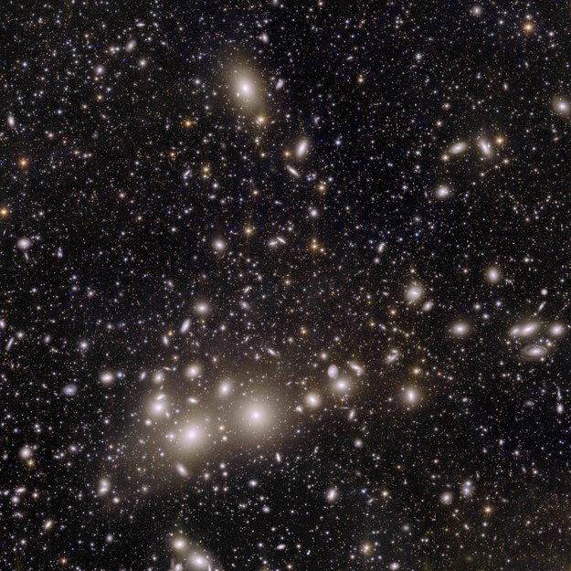 Gromada galaktyk w Perseuszu /foto: ESA /