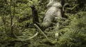 Groźba uwolnienia