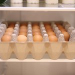 Grozi nam "jajeczny kryzys"? Koszty produkcji w górę, w hodowle uderza ptasia grypa