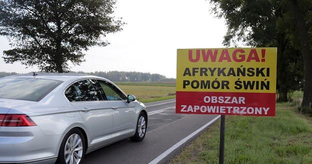 Groźna choroba zakaźna zbliża się do Warszawy... Fot. Piotr Mecik /East News