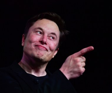 Groźna prognoza dla Tesli Elona Muska. Od euforycznego rozwoju do spółki "zombie"?