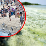 Groźne bakterie czyhają w tych polskich kąpieliskach! GIS publikuje mapę
