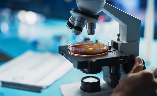 Groźne grzybice w Polsce. Jest ich prawie tyle co zawałów! 