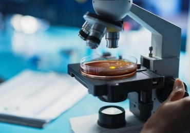 Groźne grzybice w Polsce. Jest ich prawie tyle co zawałów! 