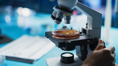 Groźne grzybice w Polsce. Jest ich prawie tyle co zawałów! 