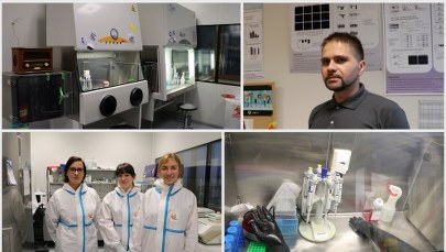 Groźne patogeny badane w najczystszym miejscu Krakowa