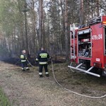 Groźne pożary lasów w całym kraju