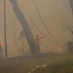 Groźne pożary. Wprowadzono stan wyjątkowy