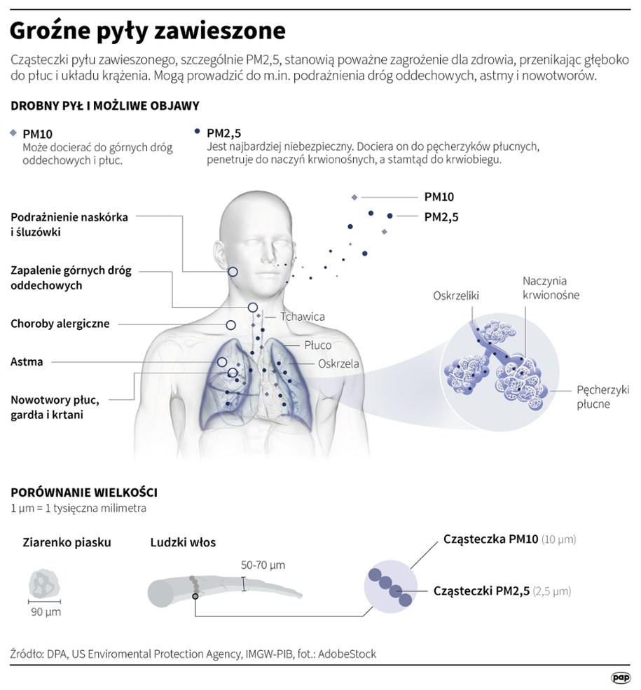 Groźne pyły zawieszone /Mateusz Krymski /PAP