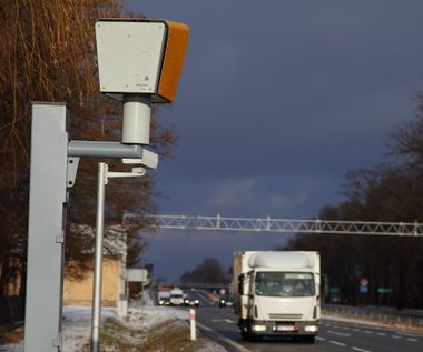 Groźne tylko na pozór