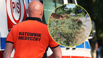 Groźnie wyglądający wypadek we Wrocławiu. Drzewo runęło na dziecko