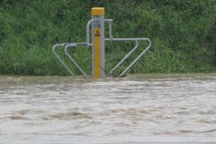 Groźny Dunajec w Szczawnicy i Krościenku