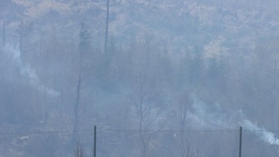 Groźny pożar lasu w słowackich Tatrach