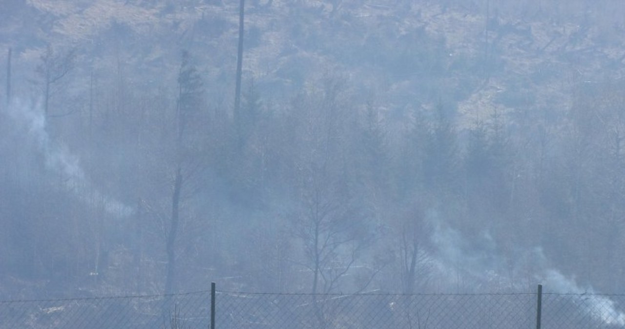 Groźny pożar lasu w słowackich Tatrach