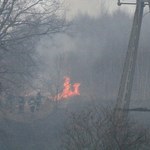Groźny pożar w Łodzi, zapaliły się trawy i budynki gospodarcze