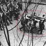 Grudzień '70 w Gdyni: Między cenzurą a prawdą o masakrze