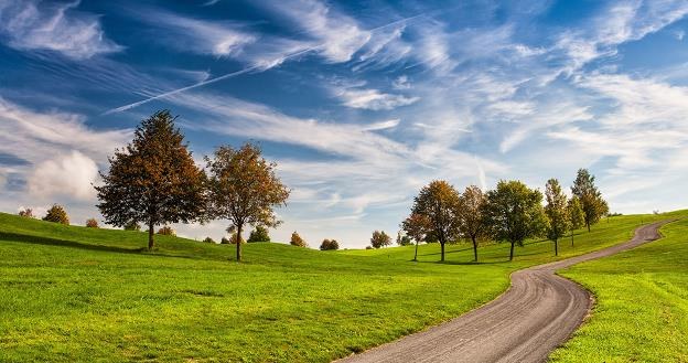 Grunty nadal nie tracą na popularności i wciąż zyskują na wartości /&copy;123RF/PICSEL