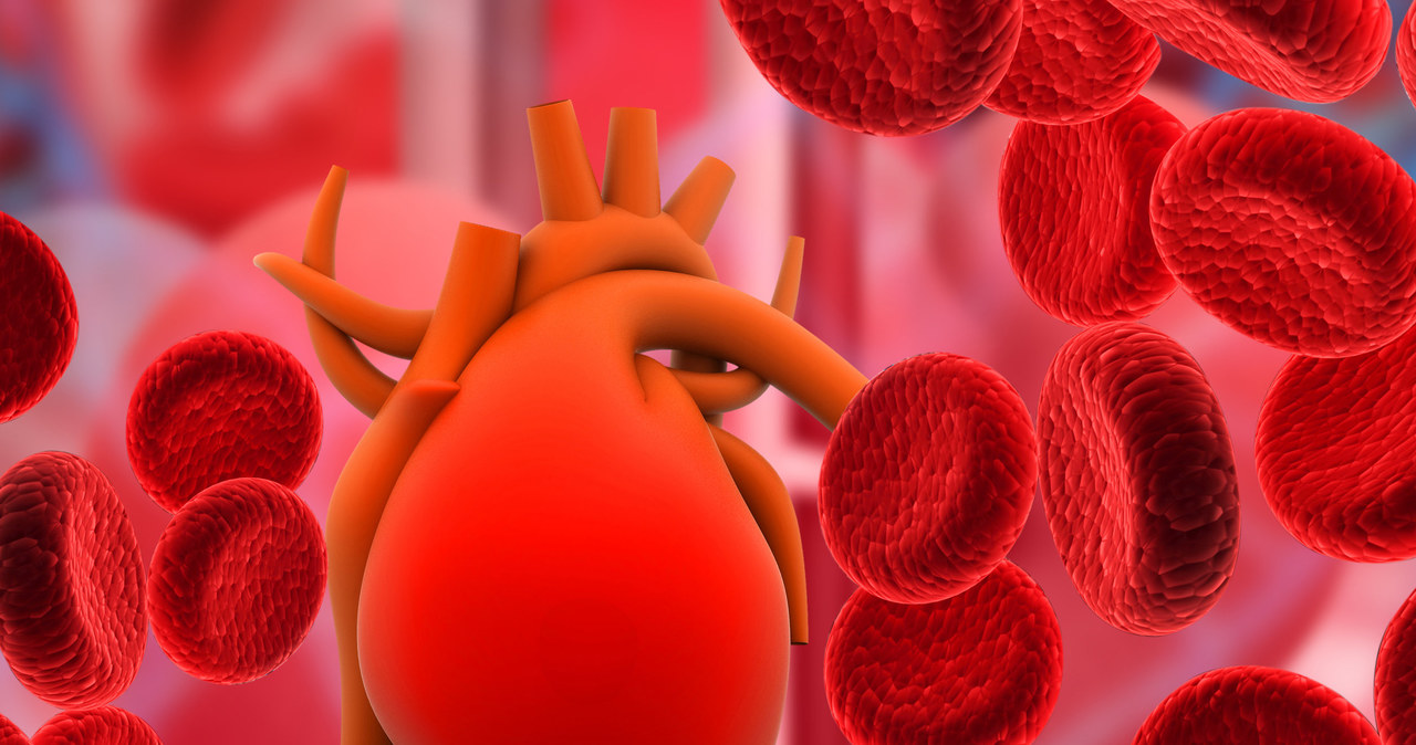Grupa krwi ma wpływ na to, czy znajdujemy się w grupie ryzyka chorób serca i naczyń wieńcowych /123RF/PICSEL