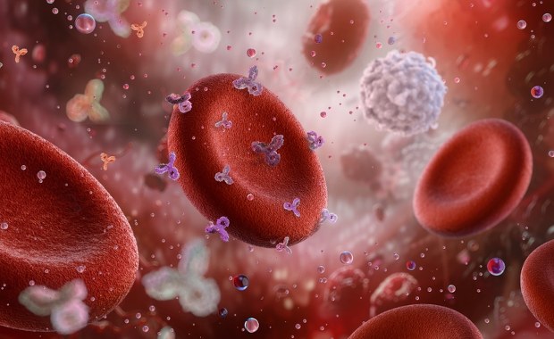 Grupa krwi może zwiększać ryzyko udaru mózgu