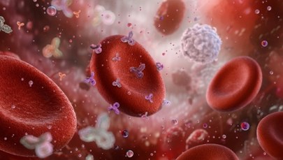 Grupa krwi może zwiększać ryzyko udaru mózgu