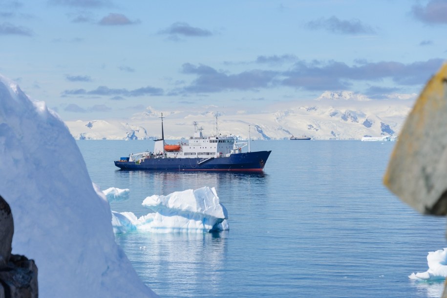 Niedźwiedzie polarne w opuszczonej bazie. Co za zdjęcia