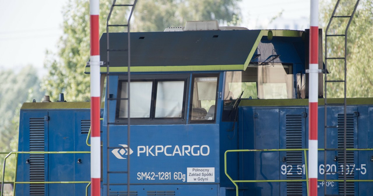 Grupa PKP Cargo oferuje usługi logistyczne, łącząc transport kolejowy, samochodowy oraz morski /Wojciech Stróżyk /Reporter