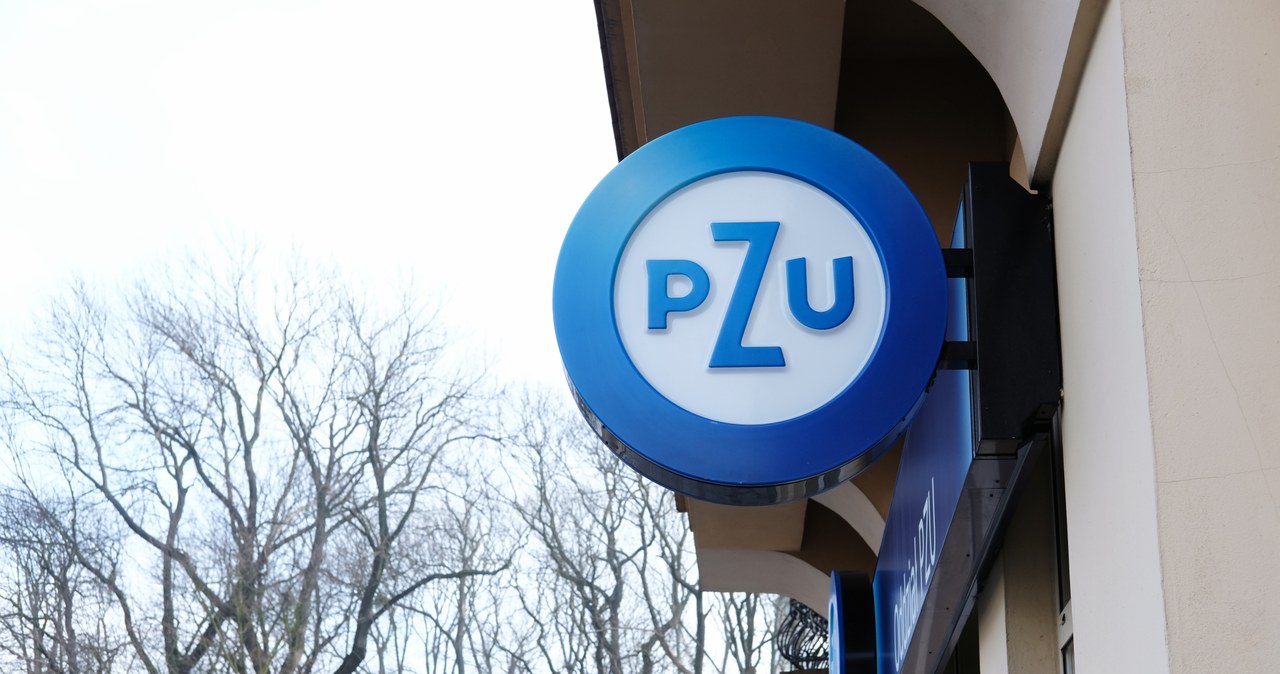 Grupa PZU opublikowała wyniki za 2022 r. /123RF/PICSEL