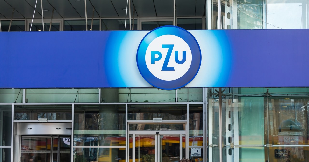 Grupa PZU poinformowała, że przeprowadzono atak hakerski na jej system informatyczny /123RF/PICSEL